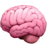 IQ